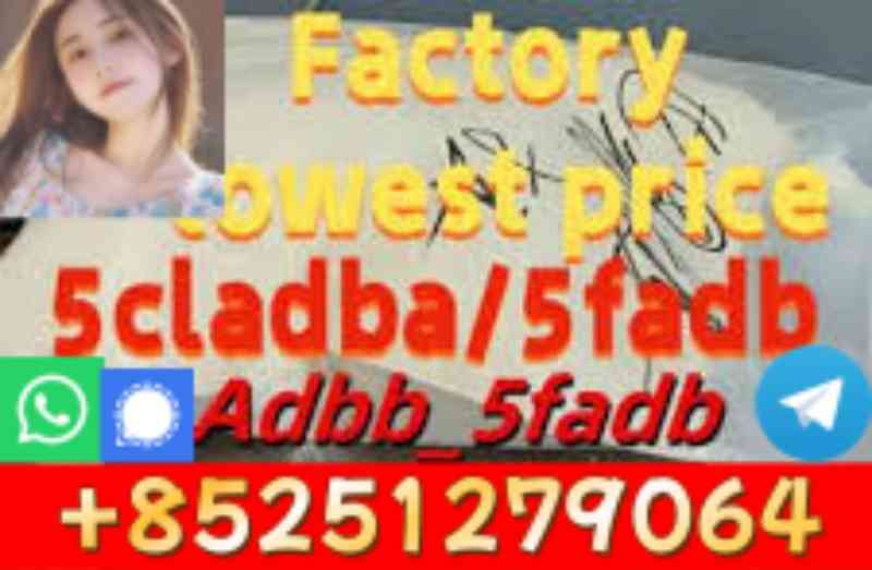 5CL-ADB 5f-mdma 4cl-adb-a 4f-adbb 2CL-ADB 5cl-mdma eu  strong powder